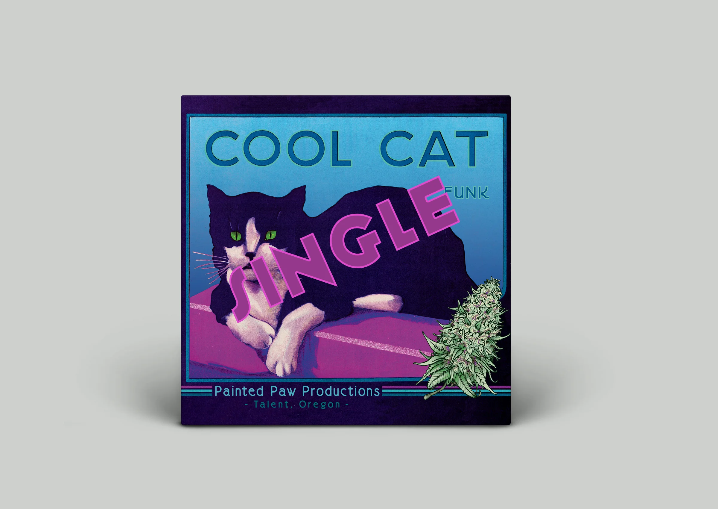 Store — Cool Cat Funk